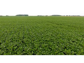 Property photo 24 - IMPORTANT OHIO LAND AUCTION - 325.5+/- ACRES OFFERED IN 8 TRACTS IN PICKAWAY COUNTY, OHIO